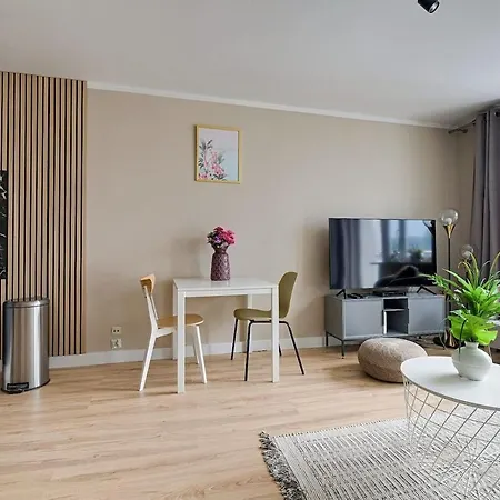 Privilage Location W Centrum Apartment